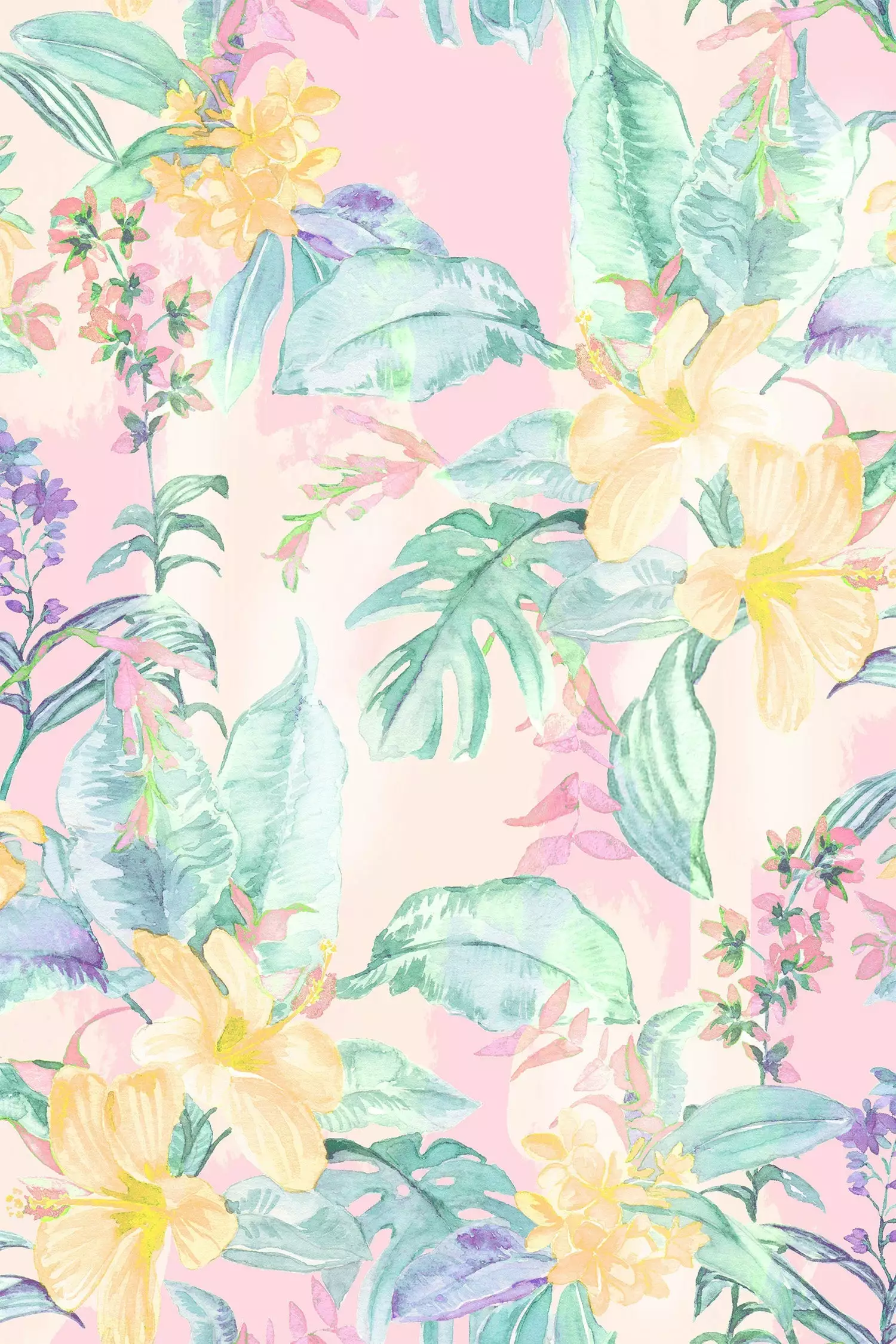 LoveShackFancy X Superga Men's Sneaker Sale 8 LoveShackFancy X Superga Men's Sneaker Sale